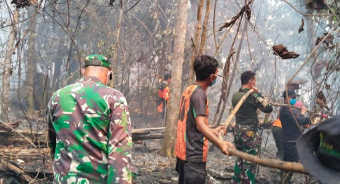 Kebakaran Landa Kawasan PT REKI, 30 Hektare Lahan Konservasi Hangus